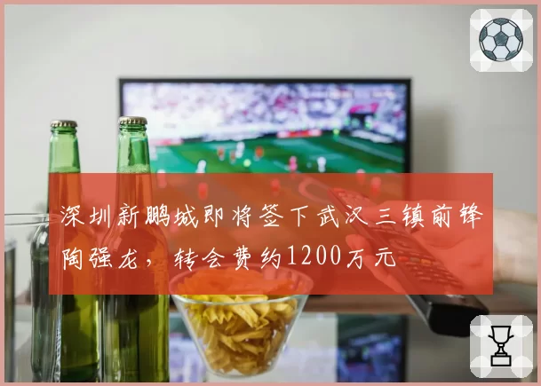 深圳新鹏城即将签下武汉三镇前锋陶强龙，转会费约1200万元