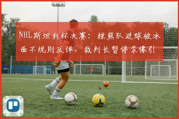 NHL斯坦利杯决赛：棕熊队进球被冰面不规则反弹，裁判长暂停录像引发哗然