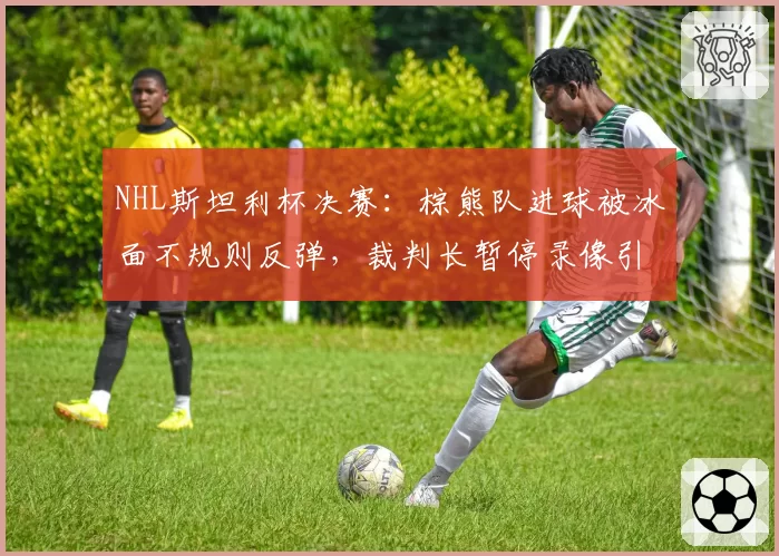 NHL斯坦利杯决赛：棕熊队进球被冰面不规则反弹，裁判长暂停录像引发哗然