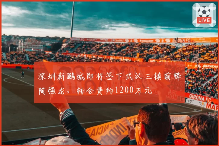 深圳新鹏城即将签下武汉三镇前锋陶强龙，转会费约1200万元